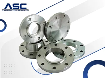 ASME SA182 Stainless Steel 317 Forged Flanges
